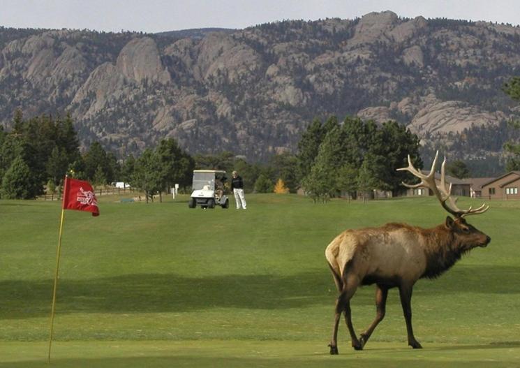 Lily Mountain Lodge - Amazing Mountains Views, Private Hot Tub, Great Location Estes Park Zewnętrze zdjęcie