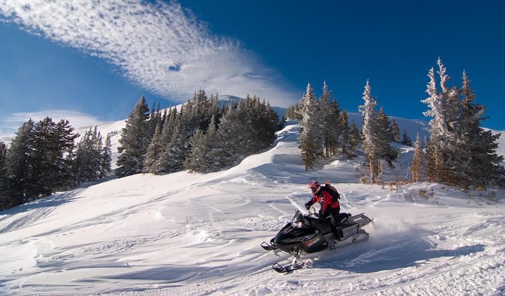 Lily Mountain Lodge - Amazing Mountains Views, Private Hot Tub, Great Location Estes Park Zewnętrze zdjęcie
